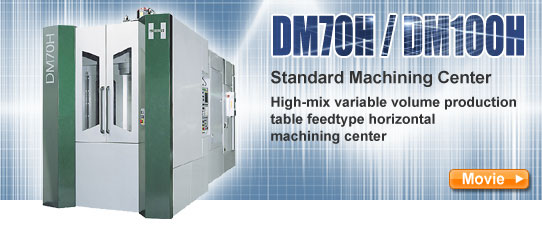 DM70H/DM100H