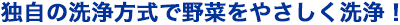 旋回流式野菜洗浄機
