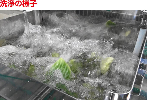 洗浄の様子